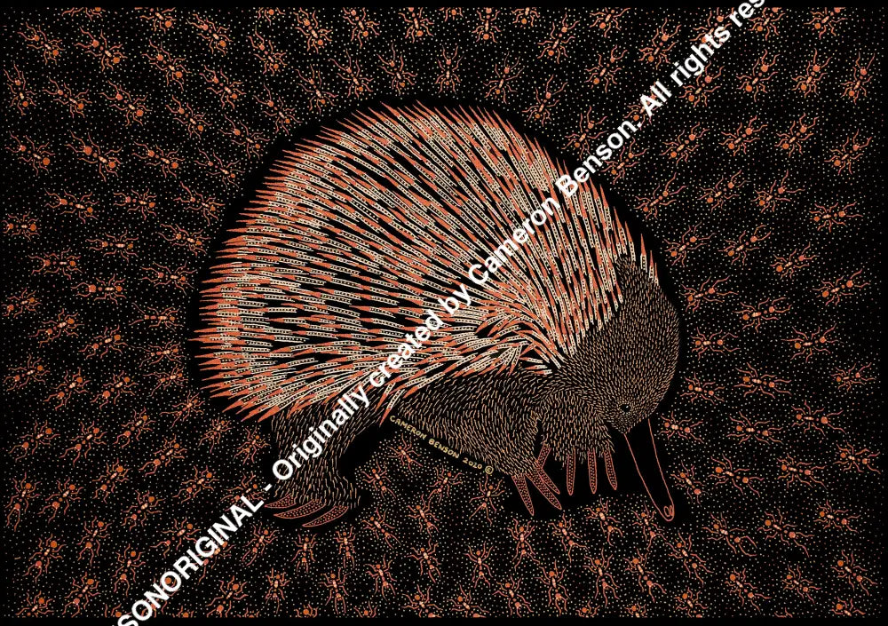 110 Echidna 50cm x 67cm Canvas Print