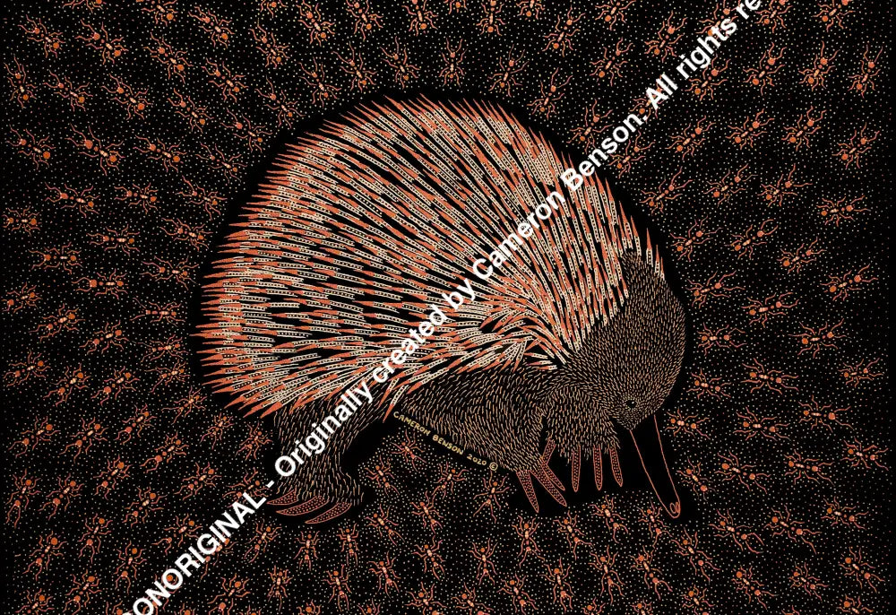 110 Echidna A4 - Landscape Print
