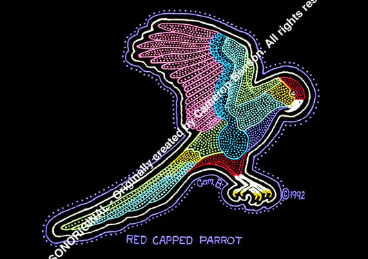 041 Red Capped Parrot Post Card