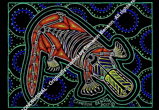 042 Platypus Blue Green Waterholes Post Card
