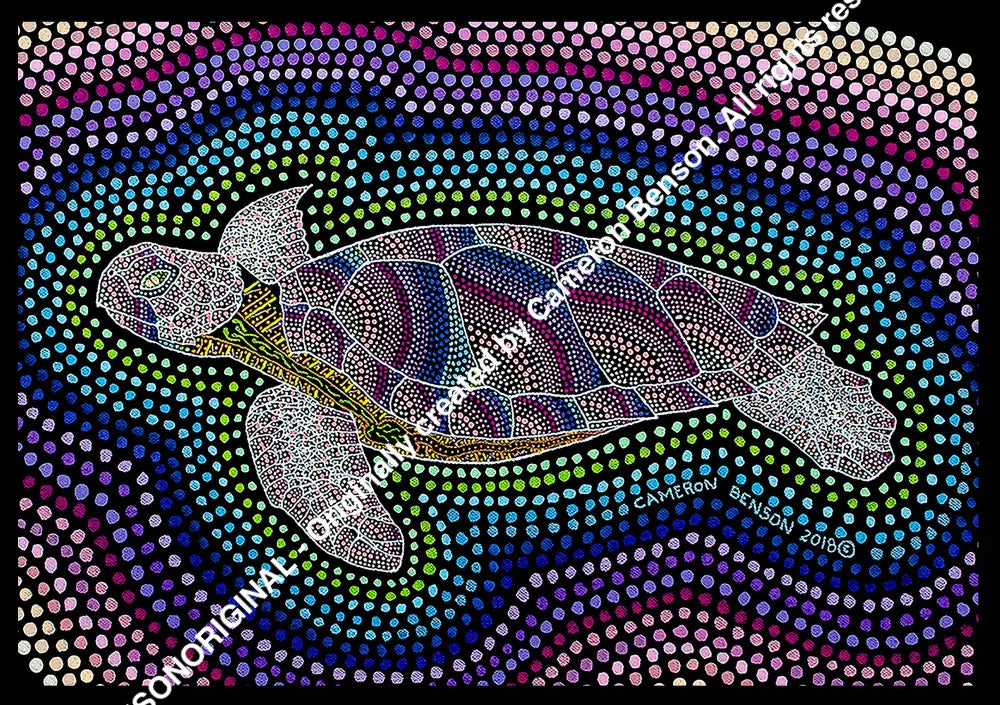 094 Turtle Side View Post Card