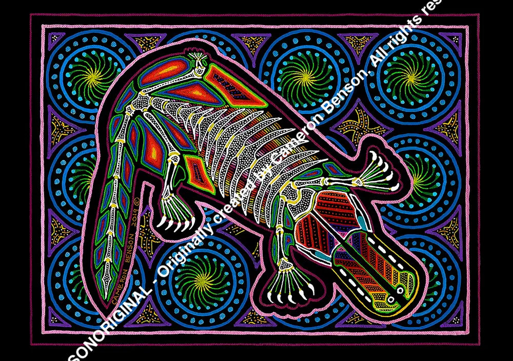 097 Platypus Hoodie