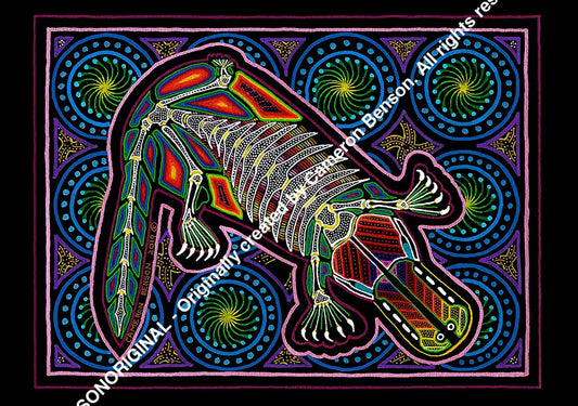 097 Platypus Post Card