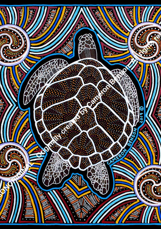 100 Turtle Post Card