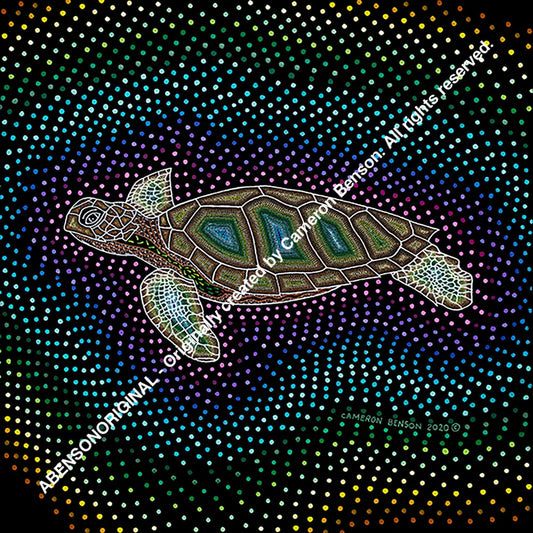 109 Sea Turtle Ladies Tee