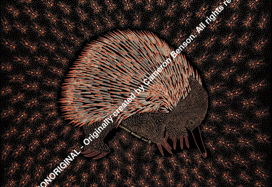 110 Echidna A4 - Landscape Print