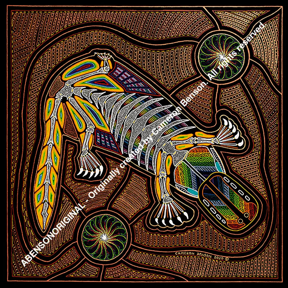 112 Platypus 50cm x 50cm Canvas Print
