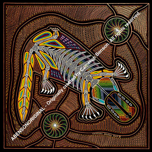 112 Platypus 50cm x 50cm Canvas Print