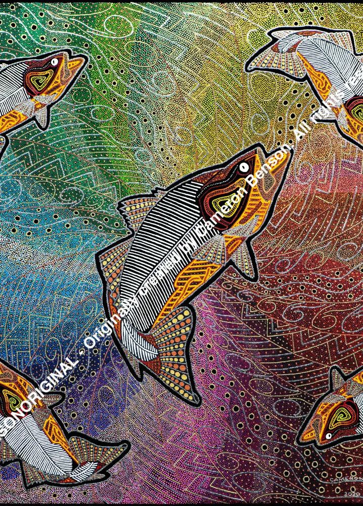 113 Five Fish In A Rainbow Water Hole Post Card