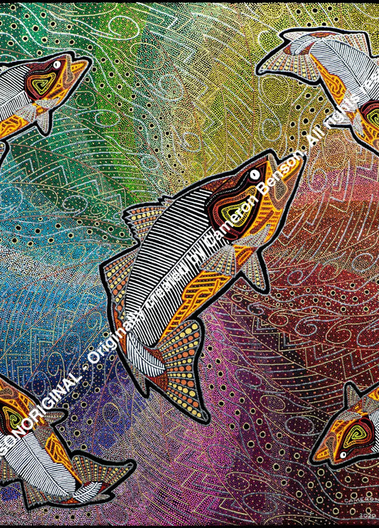 113 Five Fish In A Rainbow Water Hole Post Card