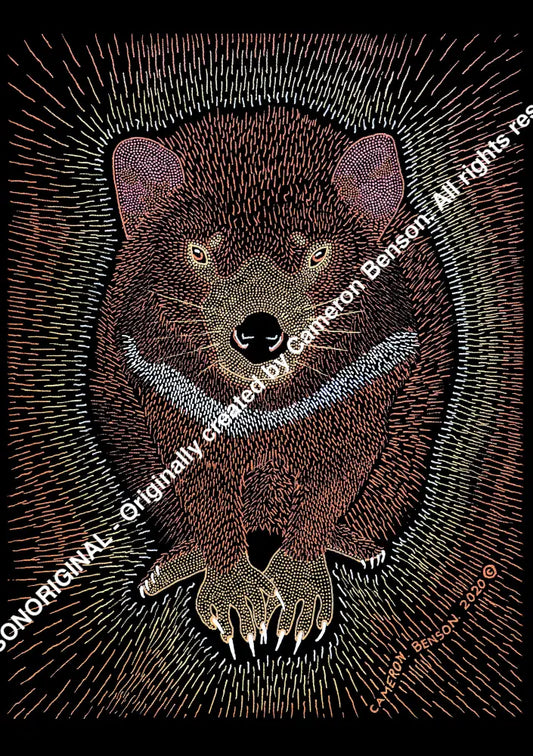 116 Tasmanian Devil 50cm x 67cm Canvas Print