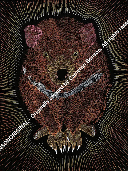 116 Tasmanian Devil Hoodie
